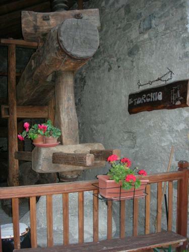 B&B Il Torchio