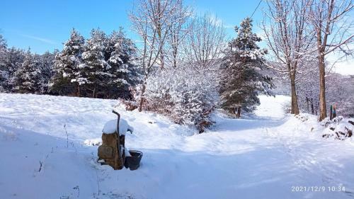 Bed & Breakfast Cascina Boschetto