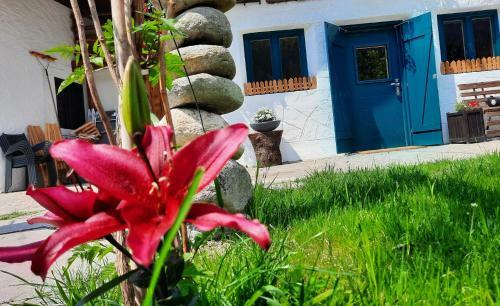Chalet Passeier - River