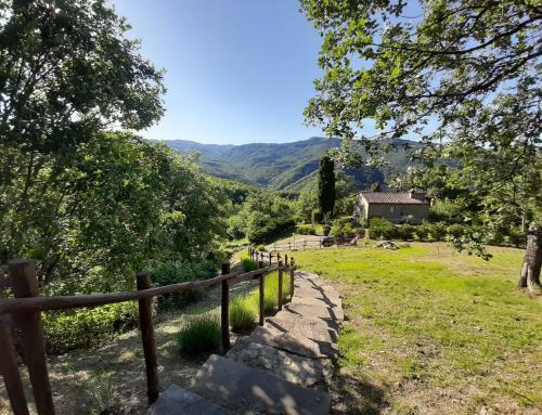 Tuscany Villa Galearpe