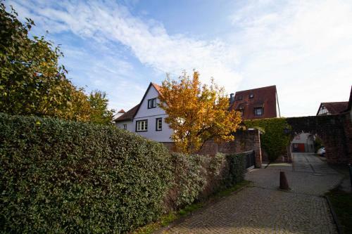 Adlerlodge Ferienhaus