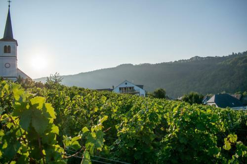 Apartamento Weingut Johanneshof