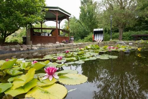 Hostal Pension Deichgraf Middelhagen