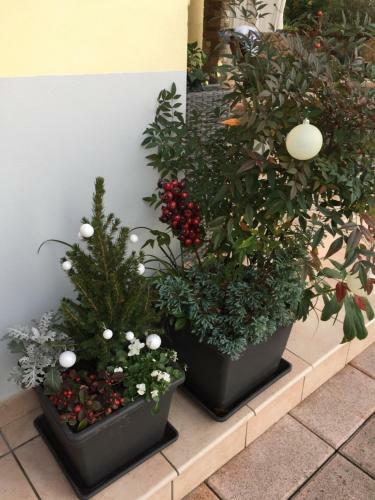 Apartamento Il Balcone Fiorito Sul Garda