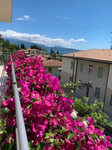 Hostal B&B Ai Colli