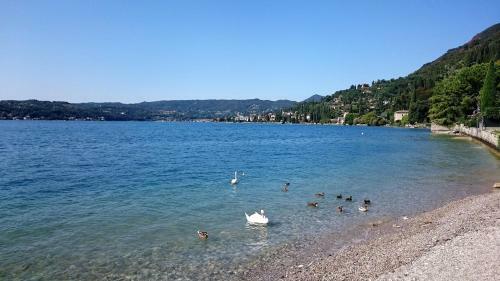 Apartamento Brezza Di Lago