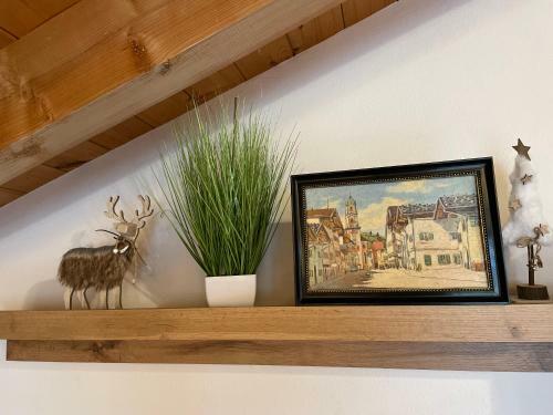 Apartamento Alpenfreund