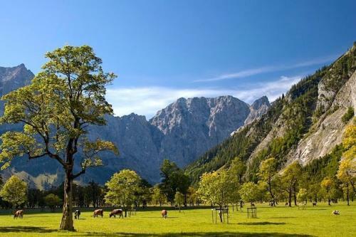 Apartamento Alpenfreund