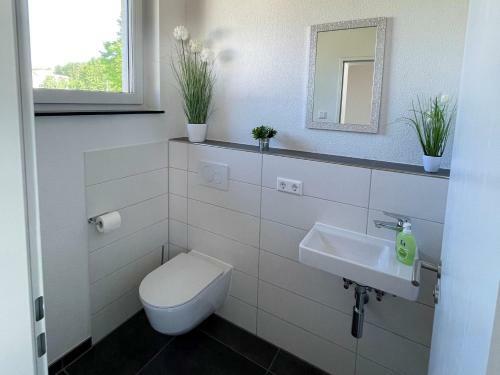 Apartamento Casa Verde - Moos