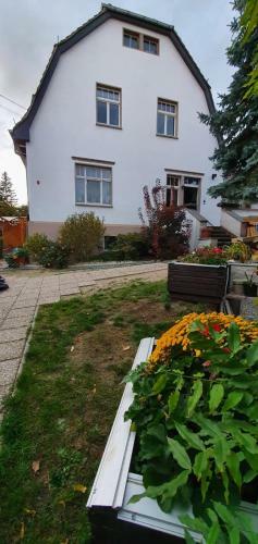Apartamento Ferienwohnung Moritzburg Mit Pool