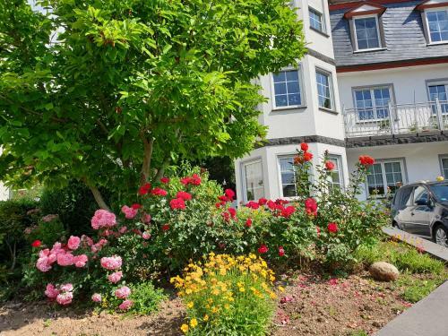 Apartamento Ferienwohnung Th�nnes