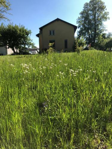 Seeblick Apartments M�hlau