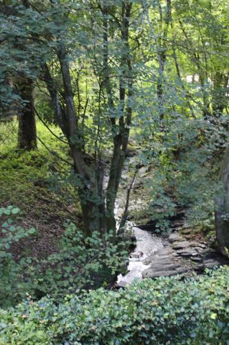 Rivendell 9