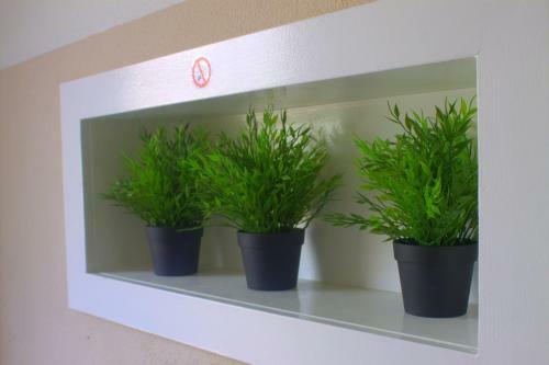 Apartamento Wdwell
