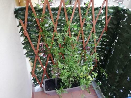 Bed & Breakfast Tuttoincentro