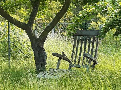 Sommerwiese Mit Terrasse - Abc327 Neu!