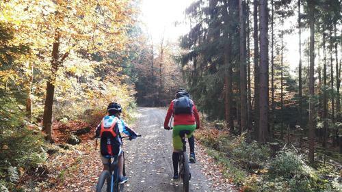 Ferienhaus Im Fichtelgebirge