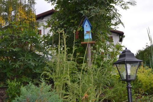 Apartamento Gundolf Appartement