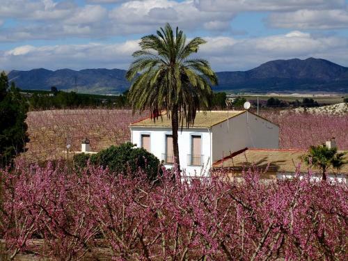 Apartamento La Joya Del Valle De Ricote