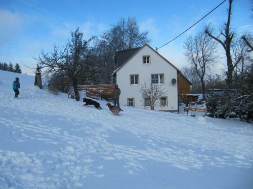 Apartamentos Ferienwohnung H�gelhof