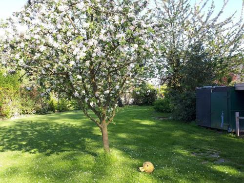 Apartamento Ferienwohnung In Ruhiger Dorflage N�he Bad Bevensen