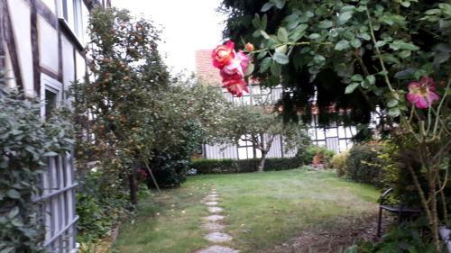 Landpause - G�stezimmer Wiesel