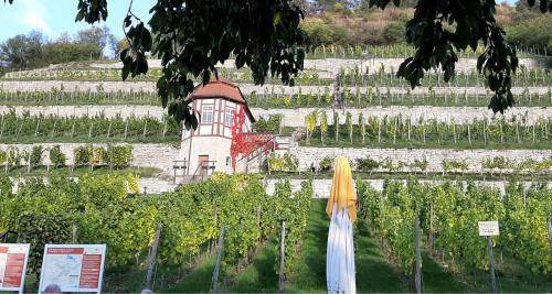 Apartamento Ferienwohnung Weinbergblick