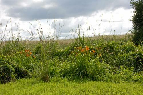 Apartamento Fewo Im Naturpark