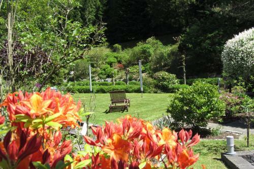 Hostal Pension Zum Rothaarsteig