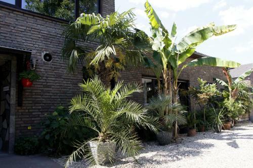 Apartamento Villakunterbunt