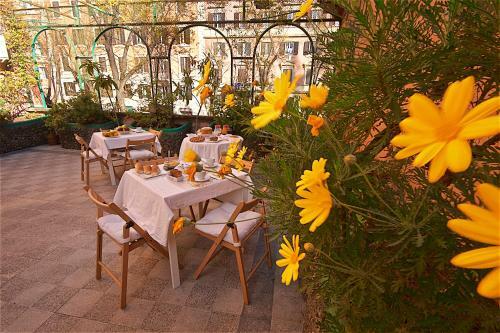 Hotel Carmel