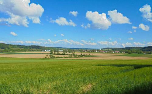 Apartamento Ferienwohnung Im Barockwinkel