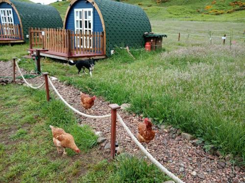 Wee Hoose Glamping Pod 1