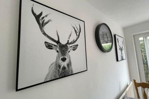 Silver Stag Properties, 3 Bed House With Parking