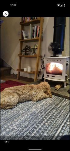 Pinfold Holiday Cottage