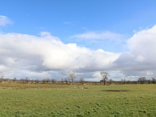 Austwick