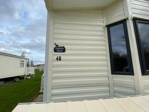 Dabbling Ducks - Pet Friendly