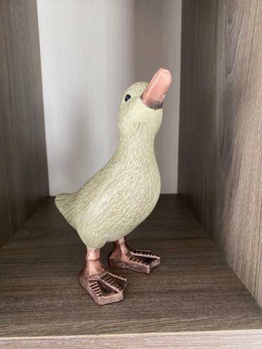 Dabbling Ducks - Pet Friendly