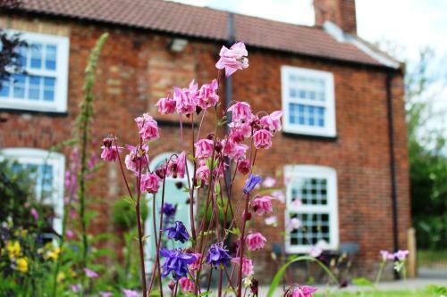 Bed & Breakfast The Vine B & B