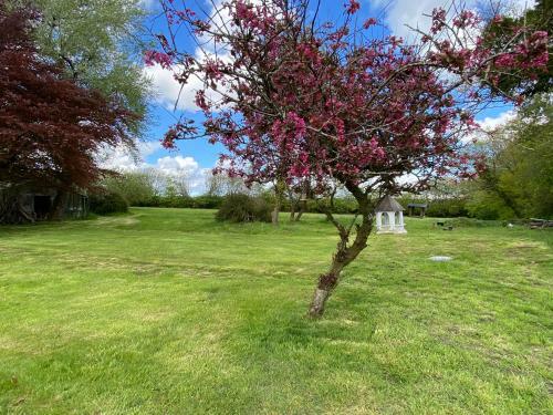 Horseford Lodge B&B