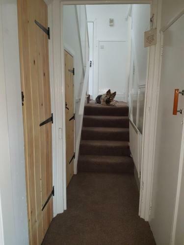 AA Apartment Westoe Road