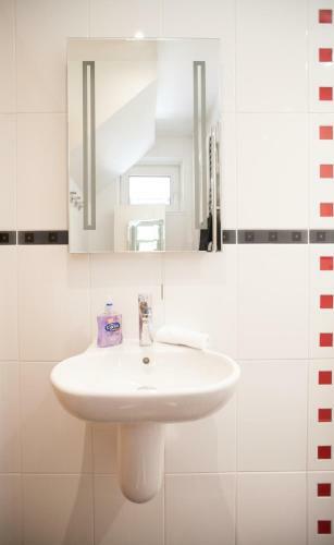 Honest University Apartment 2