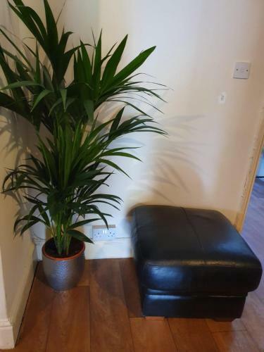 Hostal Chaps Guesthouse Southampton