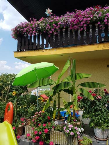 Hostal Ferienwohnung Hub
