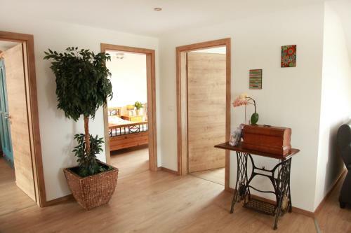 Apartamento Ferienwohnungen St�ckl