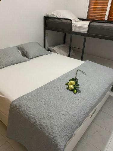 Apartamento Casa Jacqueline