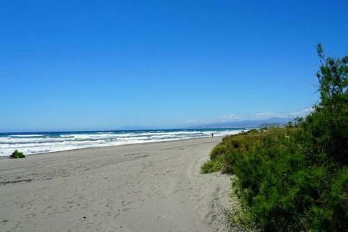 Apartamento Laguna Beach At Home