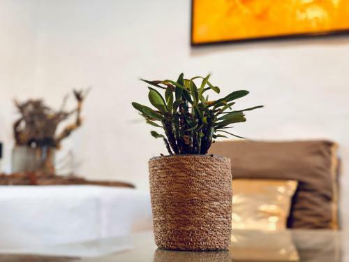 Apartamento Finca Curbelo