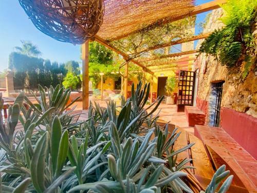 Apartamento El Pedr� De Ventall�