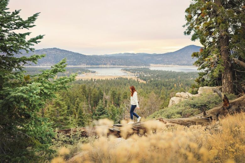Honey Bear Lodge & Cabins